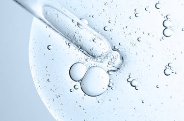 Soluble Collagen